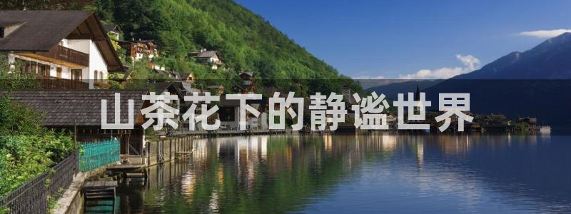 鸿运平台投资诈骗