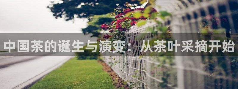 鸿运网上平台