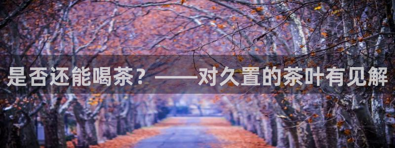 菲律宾鸿运彩票平台