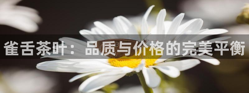 鸿运当头平台