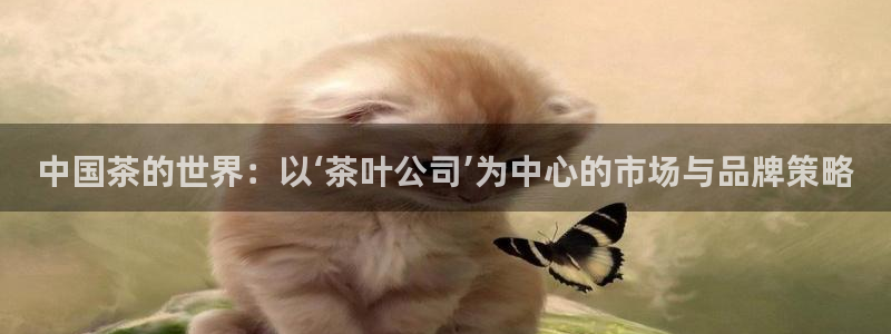 鸿运公益平台
