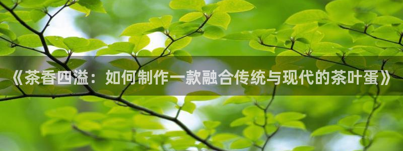 鸿运是哪里平台