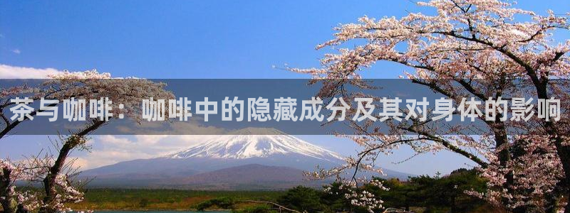 鸿运信息平台