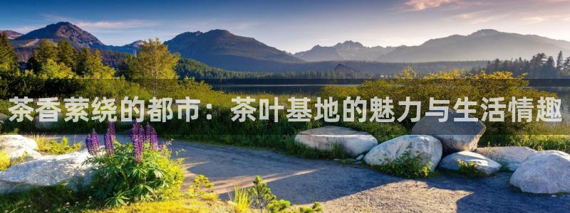 鸿运购彩平台lottery