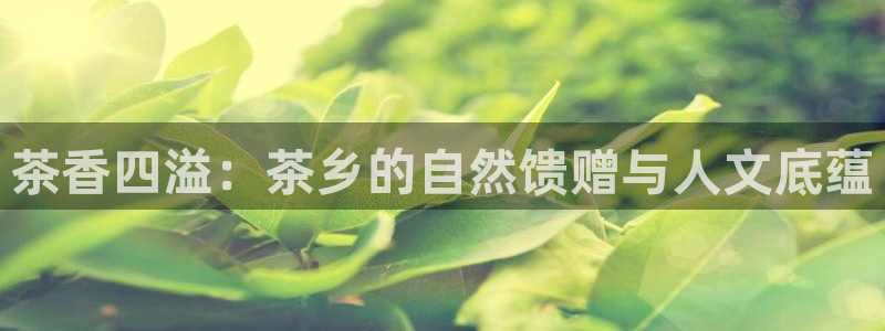 鸿运快三直播平台