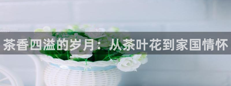鸿运购彩平台
