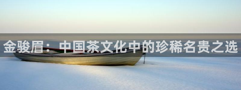 鸿运平台进入官网