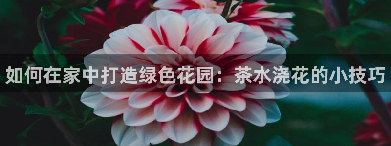 鸿运当头购物平台
