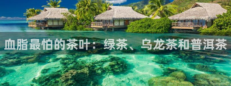 鸿运平台推荐机制