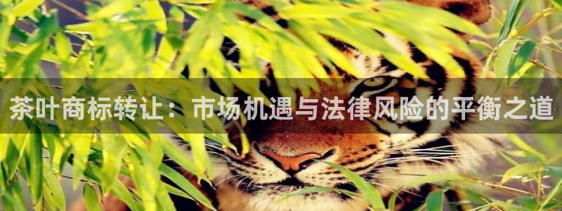 鸿运平台平
