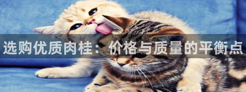 香港鸿运投资平台