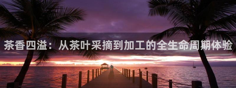鸿运集团平台招聘要求