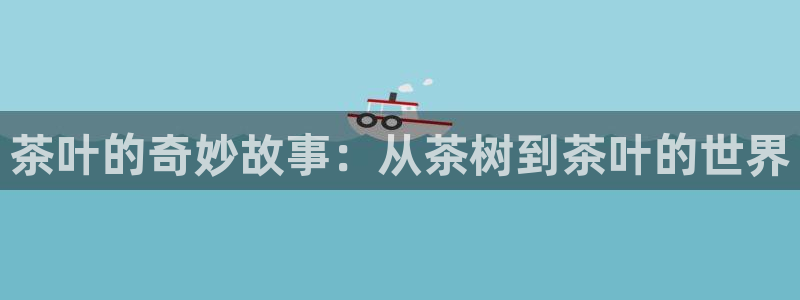 鸿运彩app平台