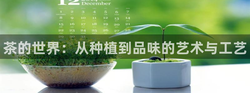 鸿运当头网贷平台
