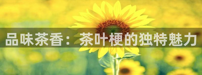 鸿运平台推荐机制