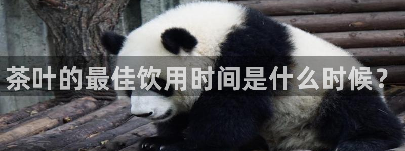 鸿运国际网址平台