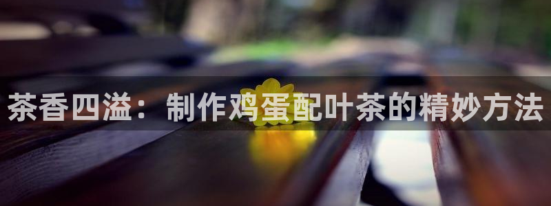 铜陵鸿运拍卖平台