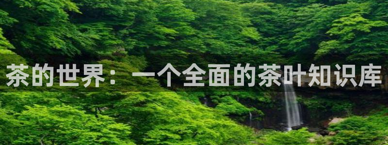 鸿运时时彩平台