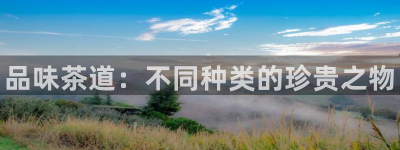 菲律宾鸿运彩票平台