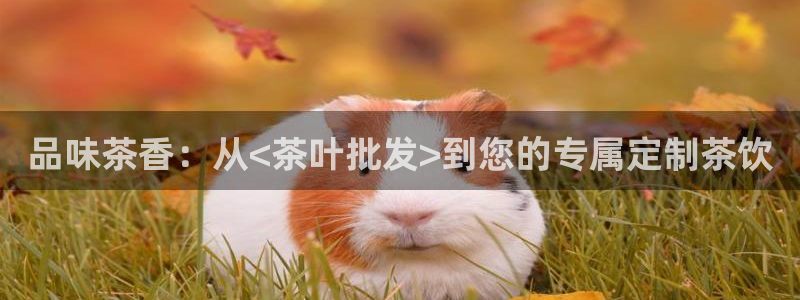 鸿运代还平台