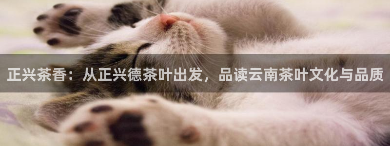 鸿运连连平台
