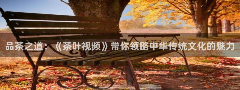 九九鸿运平台