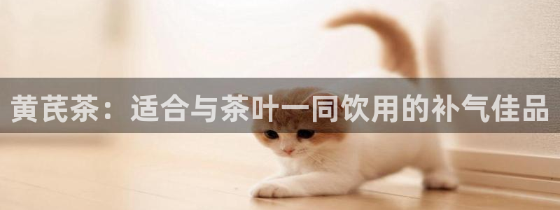 鸿运棋牌直播平台