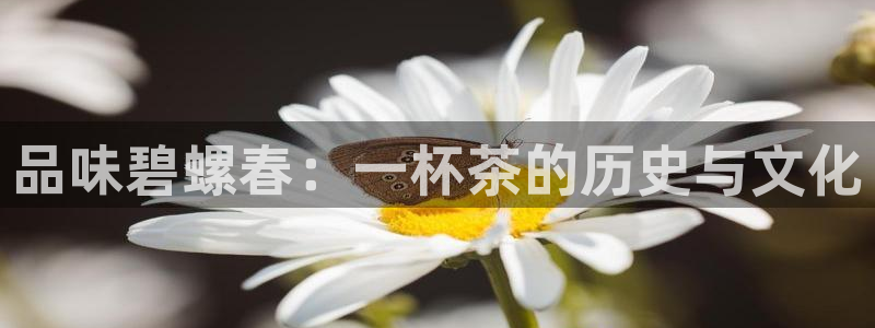 鸿运借款平台可靠吗