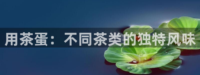 鸿运供应管理平台