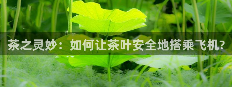 鸿运借款平台可靠吗
