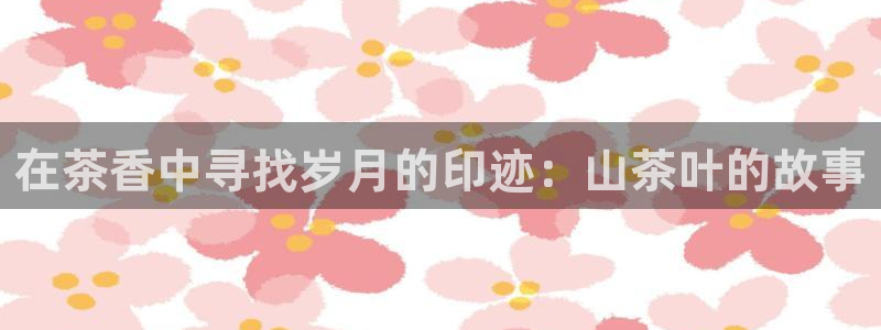 鸿运国际娱平台