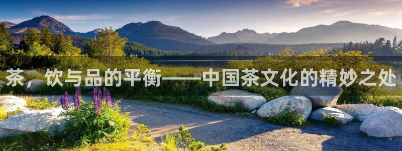 鸿运手机棋牌平台