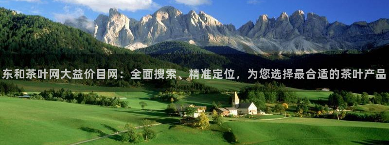 鸿运推广平台代理