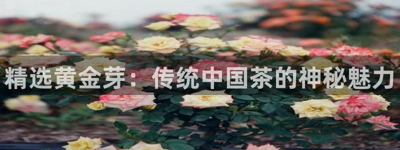 鸿运平台分分彩软件