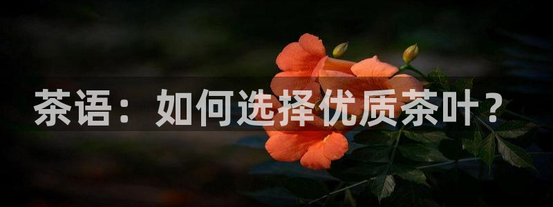 鸿运彩 票诈骗平台