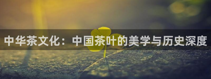 鸿运滚滚抽奖平台