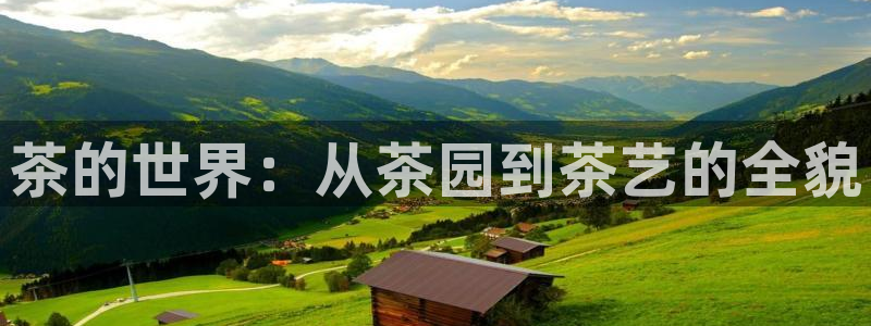 鸿运购彩平台app