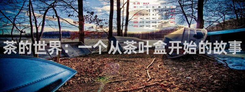 鸿运北斗监控平台