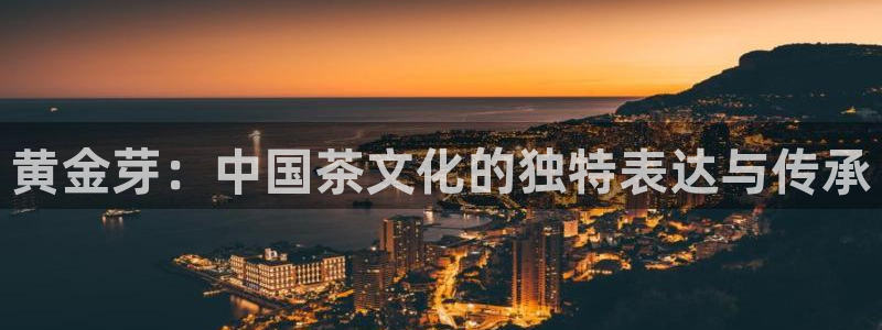 鸿运团队赚钱平台