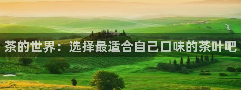 琥珀鸿运平台挣钱真实吗