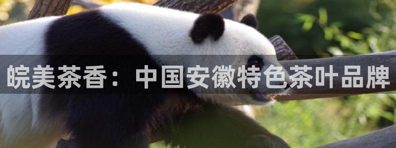 鸿运注册平台是什么