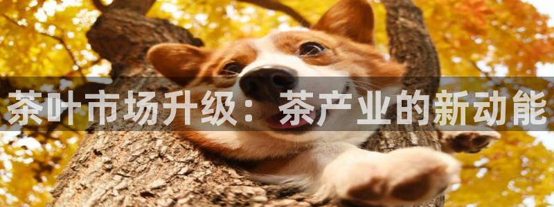 鸿运住宿团购平台