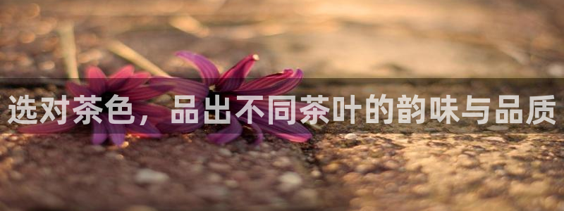 鸿运平台被骗事件