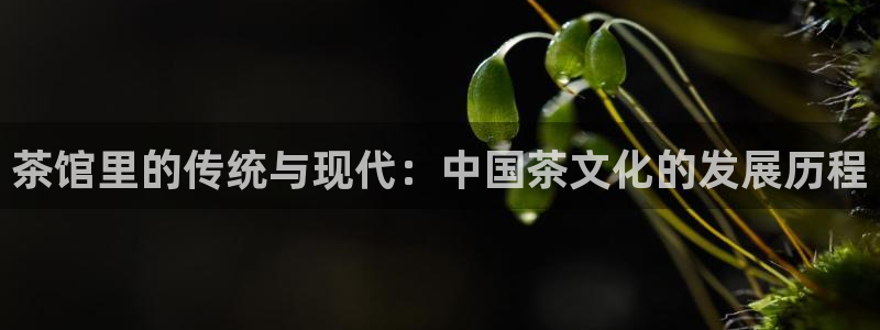 鸿运直播平台会员