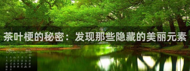 鸿运团队赚钱平台