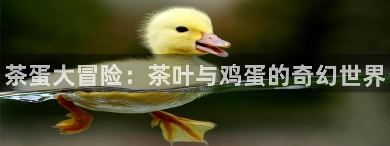 鸿运北斗监控平台