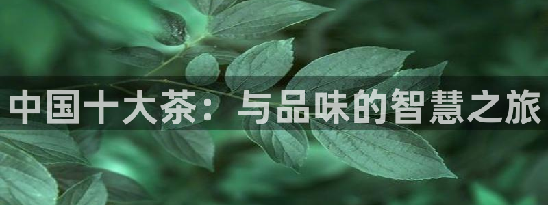 鸿运购彩平台app