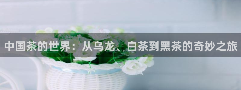 鸿运到游戏平台