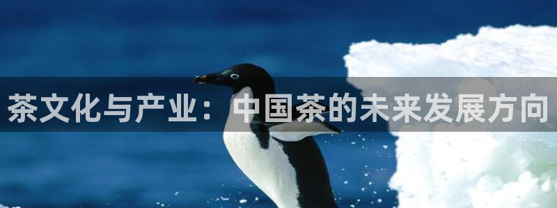 鸿运钱包平台正规吗