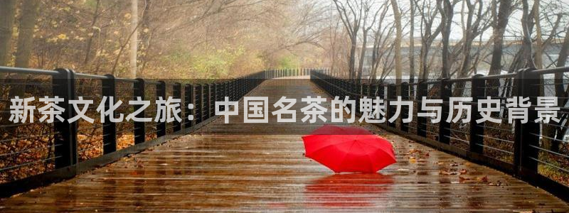 琥珀鸿运平台挣钱真实吗